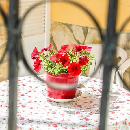 Coryfo Casetta, Mon Repo